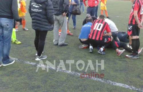 &Pi;&omicron;&lambda;ύ &xi;ύ&lambda;&omicron; &kappa;&alpha;&iota; &pi;&alpha;ί&kappa;&tau;&epsilon;&sigmaf; &sigma;&tau;&omicron; &nu;&omicron;&sigma;&omicron;&kappa;&omicron;&mu;&epsilon;ί&omicron; &sigma;&epsilon; &alpha;&gamma;ώ&nu;&alpha; &sigma;&tau;&eta;&nu; &Kappa;&rho;ή&tau;&eta;!