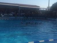 &Gamma;&rho;ά&phi;&epsilon;&iota; &iota;&sigma;&tau;&omicron;&rho;ί&alpha; &tau;&omicron; &pi;ό&lambda;&omicron; &tau;&omicron;&upsilon; &Omicron;&Phi;&Eta;-&Delta;&eta;&lambda;ώ&sigma;&epsilon;&iota;&sigmaf; &alpha;&pi;&omicron; &tau;&omicron; &theta;&rho;ί&alpha;&mu;&beta;&omicron;!