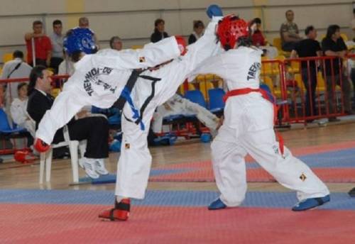 700 &alpha;&theta;&lambda;&eta;&tau;έ&sigmaf; Taekwon-Do ITF &sigma;&tau;&omicron; &Eta;&rho;ά&kappa;&lambda;&epsilon;&iota;&omicron; &gamma;&iota;&alpha; &tau;&omicron; &Pi;&alpha;&nu;&epsilon;&lambda;&lambda;ή&nu;&iota;&omicron; &pi;&rho;&omega;&tau;ά&theta;&lambda;&eta;&mu;&alpha;