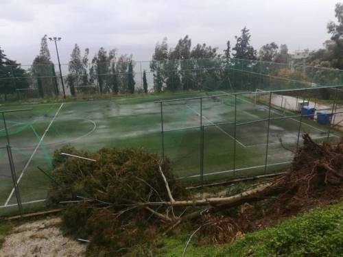 &Tau;&omicron; &delta;έ&nu;&tau;&rho;&omicron; "&pi;&lambda;ά&kappa;&omega;&sigma;&epsilon;" &tau;&omicron; &gamma;ή&pi;&epsilon;&delta;&omicron;! (&Phi;&Omega;&Tau;&Omicron;&Gamma;&Rho;&Alpha;&Phi;&Iota;&Epsilon;&Sigma;)
