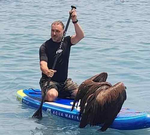 &Psi;&upsilon;&chi;ά&rho;&alpha; &omicron; &alpha;&rho;&chi;&eta;&gamma;ό&sigmaf; &tau;&omicron;&upsilon; &Omicron;&Phi;&Eta;-&Epsilon;&sigma;&omega;&sigma;&epsilon; έ&nu;&alpha; &gamma;&upsilon;&pi;&alpha;&epsilon;&tau;ό!